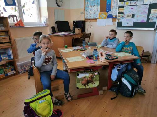 Apollonia 2022/23_1.+2. Schulstufe