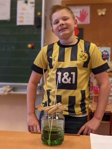 Experiment_Kristalle züchten