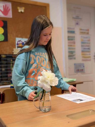 Experiment_Pflanzen trinken