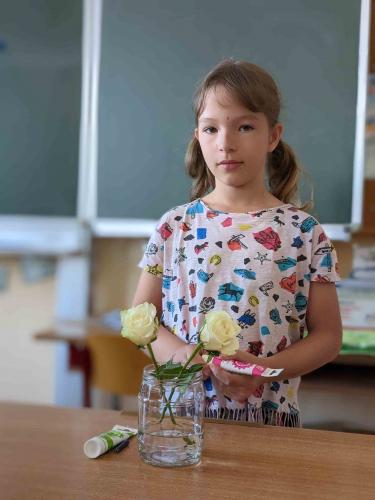 Experiment_Pflanzen trinken