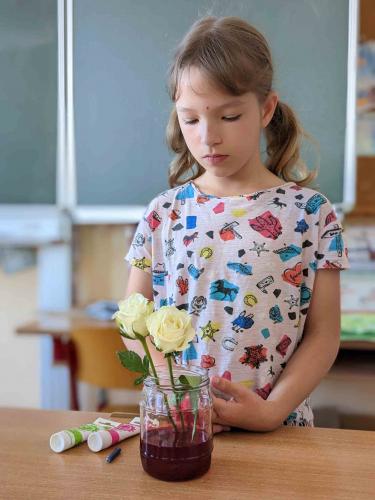 Experiment_Pflanzen trinken