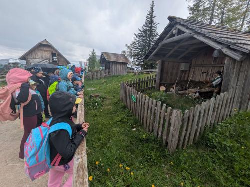 Projekttage 2025_Tag2