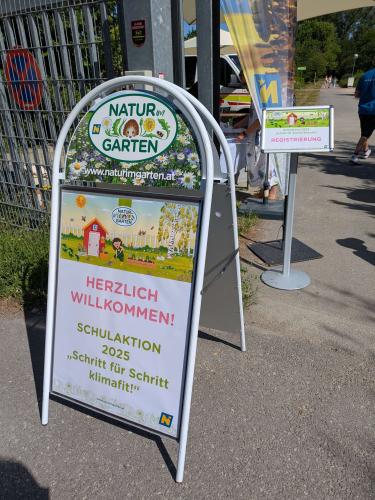 PXL 20250625 073135280-Copy