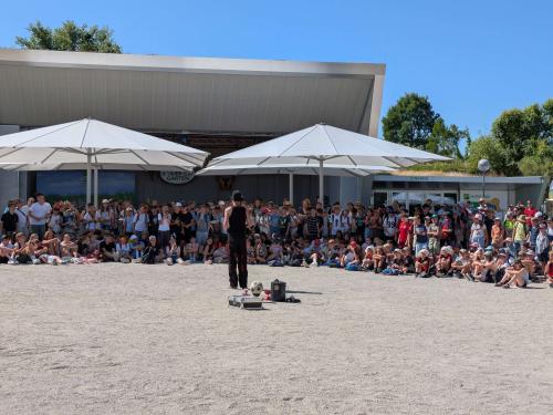 PXL 20250625 081110176.MP-Copy