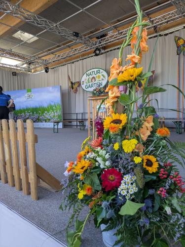 PXL 20250625 083638816-Copy