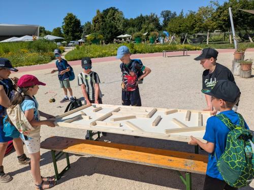 PXL 20250625 084042460-Copy