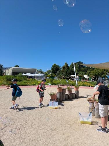 PXL 20250625 084237181-Copy