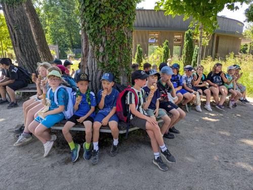 PXL 20250625 090913238-Copy