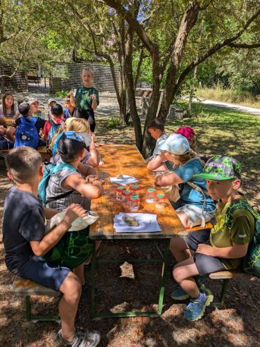 PXL 20250625 092806601-Copy