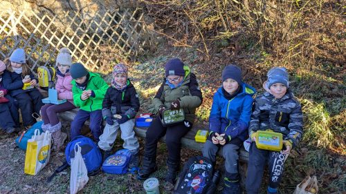 Waldtag-Dezember 2025