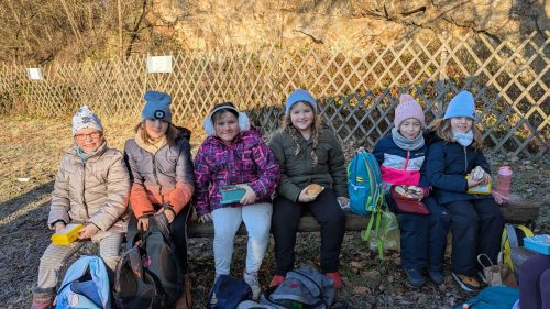 Waldtag-Dezember 2025