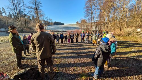 Waldtag-Dezember 2025