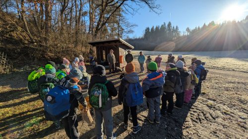 Waldtag-Dezember 2025