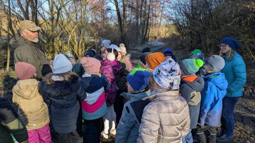 Waldtag-Dezember 2025