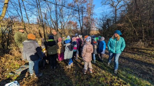 Waldtag-Dezember 2025