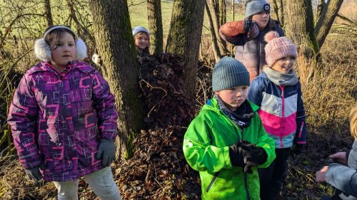 Waldtag-Dezember 2025