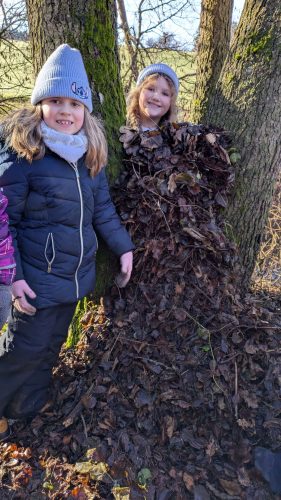 Waldtag-Dezember 2025