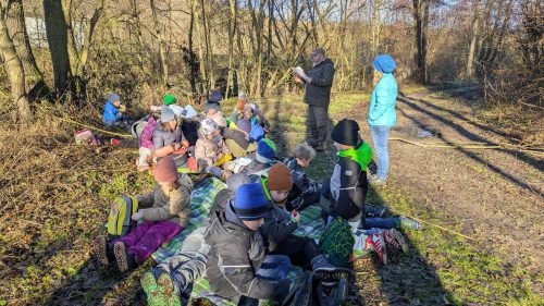 Waldtag-Dezember 2025