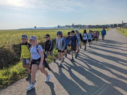 Wandertag_Ruine Kollmitz_12.9.2023