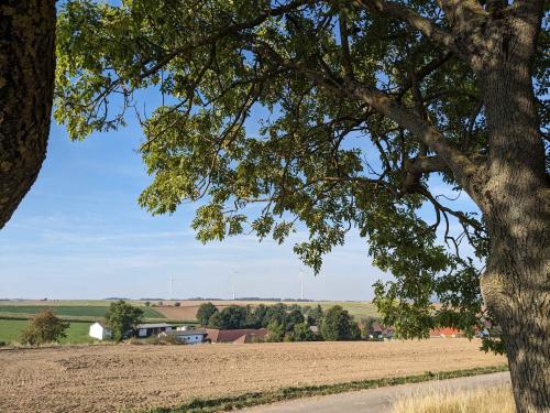 Wandertag_Ruine Kollmitz_12.9.2023