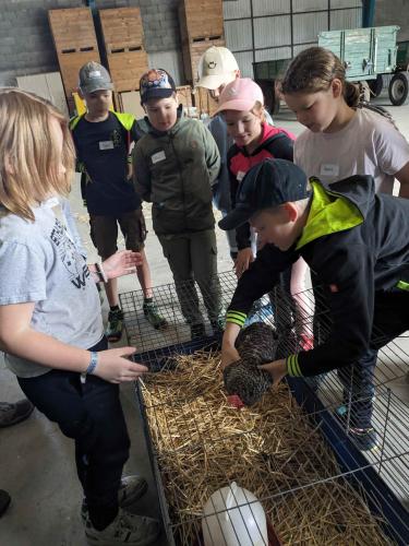 Wandertag, 14.6.2024