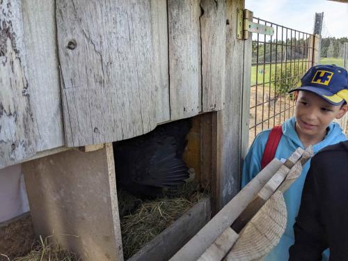 Wandertag, 14.6.2024