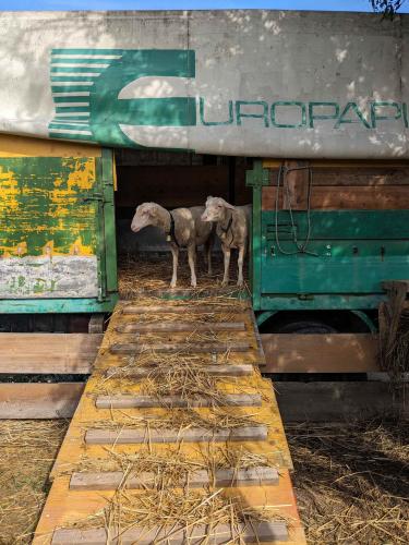 Wandertag, 14.6.2024