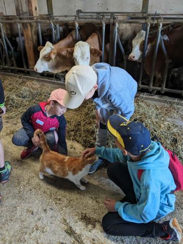 Wandertag, 14.6.2024