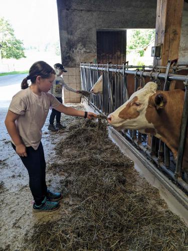 Wandertag, 14.6.2024