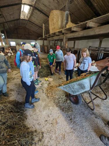 Wandertag, 14.6.2024