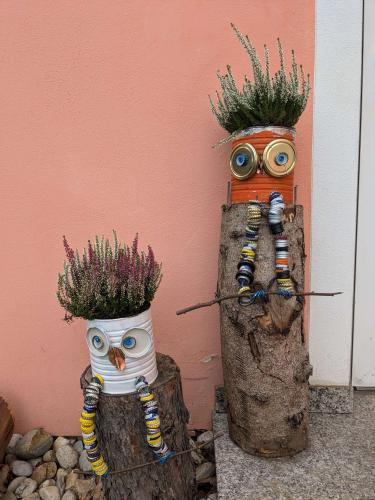 schräge Vögel 2025