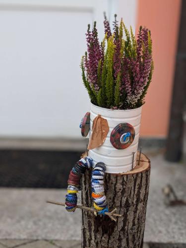 schräge Vögel 2025