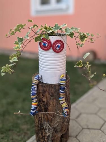 schräge Vögel 2025