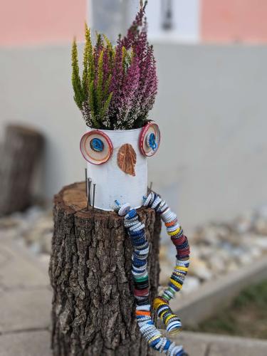 schräge Vögel 2025