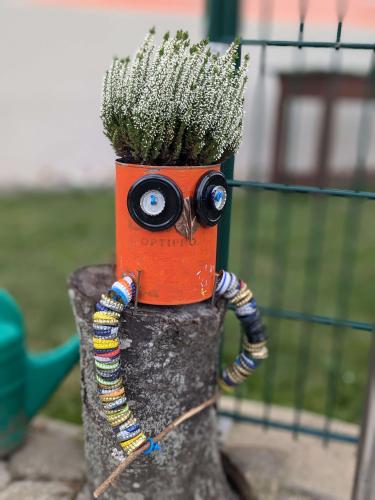 schräge Vögel 2025