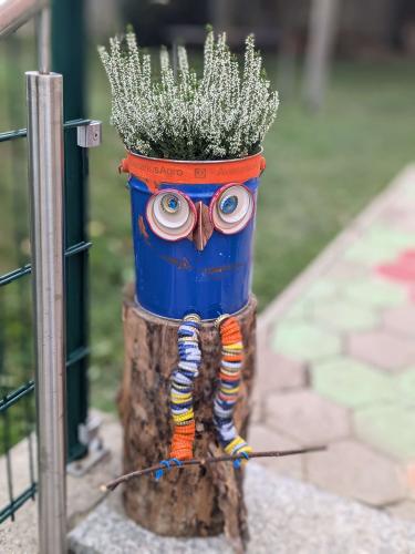 schräge Vögel 2025