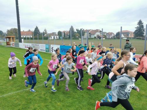 Cross-Country-Lauf_14.10.2022